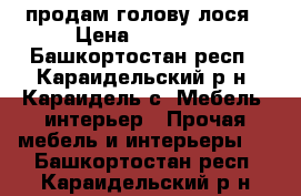 продам голову лося › Цена ­ 35 000 - Башкортостан респ., Караидельский р-н, Караидель с. Мебель, интерьер » Прочая мебель и интерьеры   . Башкортостан респ.,Караидельский р-н